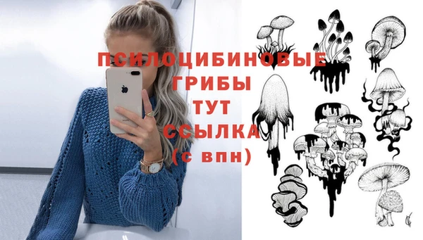 мескалин Абинск