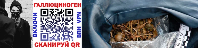 Галлюциногенные грибы прущие грибы Сургут