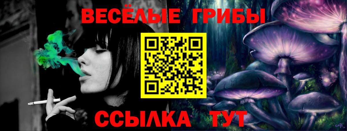 Сургут  Псилоцибиновые грибы прущие грибы  Вход с VPN 