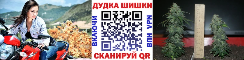 что такое наркотик  Сургут  Шишки марихуана Ganja 