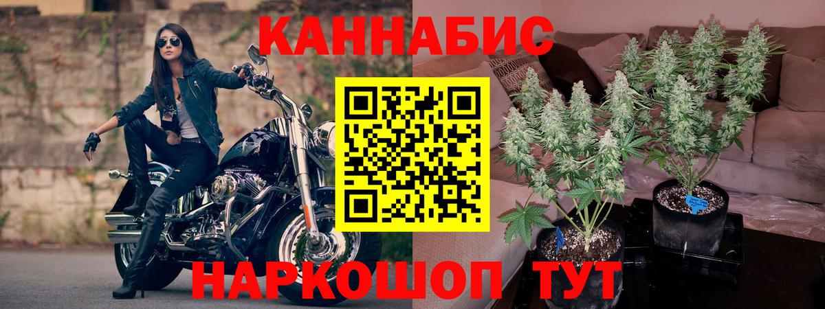Сургут  Каннабис марихуана  МАРИХУАНА VHQ  Бошки Шишки THC 21%  Вход с VPN 